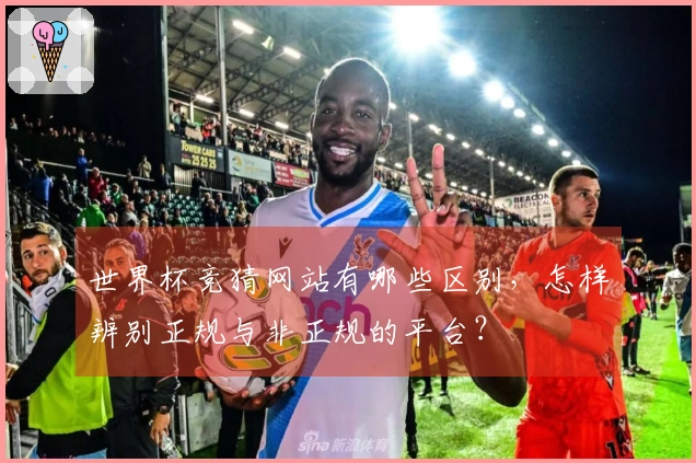 世界杯竞猜网站有哪些区别，怎样辨别正规与非正规的平台？