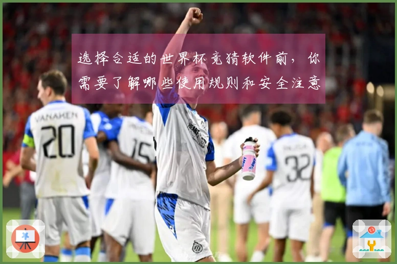 选择合适的世界杯竞猜软件前，你需要了解哪些使用规则和安全注意事项