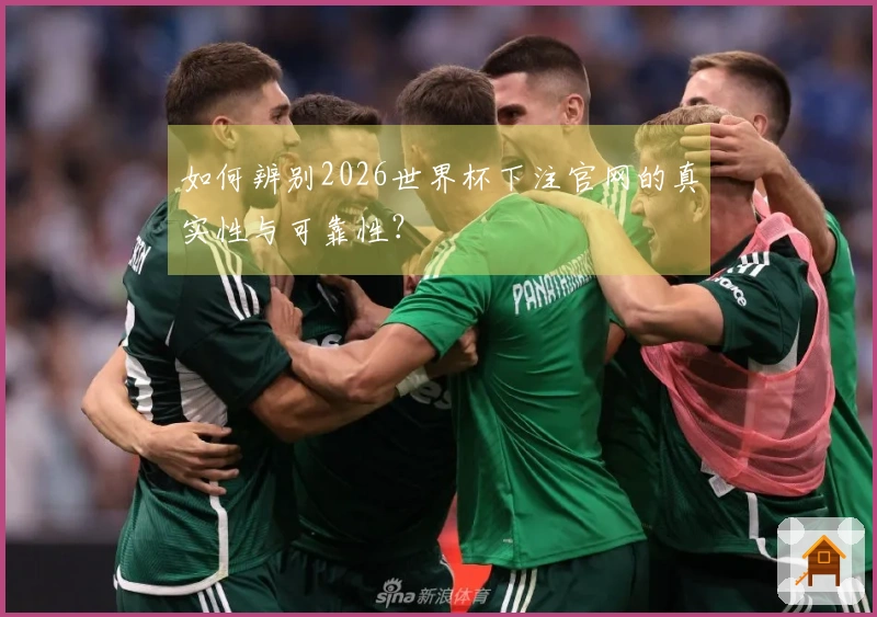 如何辨别2026世界杯下注官网的真实性与可靠性？