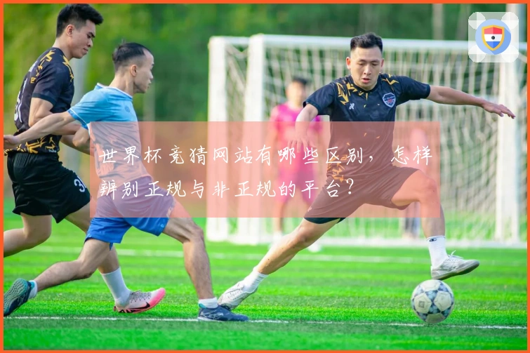 世界杯竞猜网站有哪些区别，怎样辨别正规与非正规的平台？